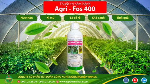 thuốc trừ nấm Agri-fos 400