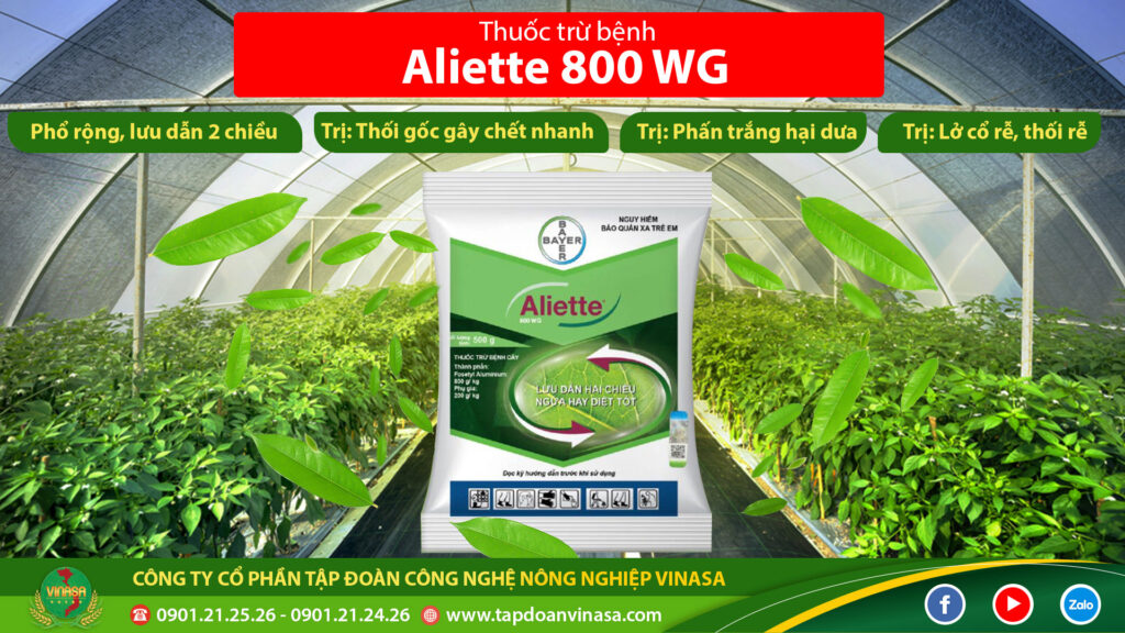 thuốc trừ nấm Aliette