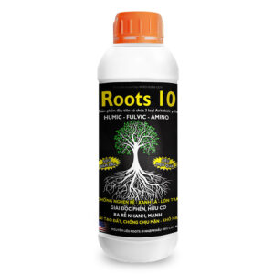 Roots 10