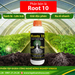 Roots 10