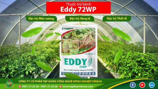 thuốc trừ bệnh eddy 72wp