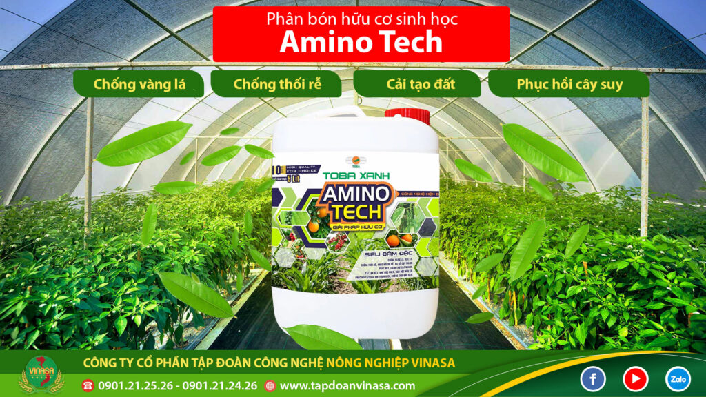 Amino tech