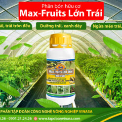 dưỡng trái sầu riêng max fruits