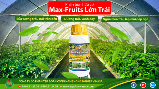 dưỡng trái sầu riêng max fruits
