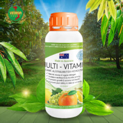 multi vitamin