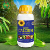 Horti Calcium