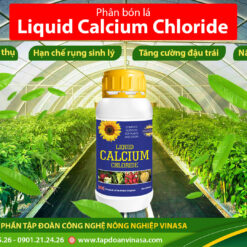 Horti Calcium