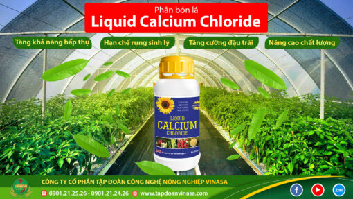 Horti Calcium
