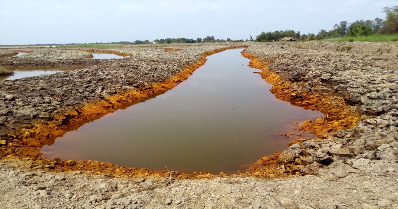 Đất phèn chua: Nguyên nhân và giải pháp • Vinasa Agri Tech J.S.C
