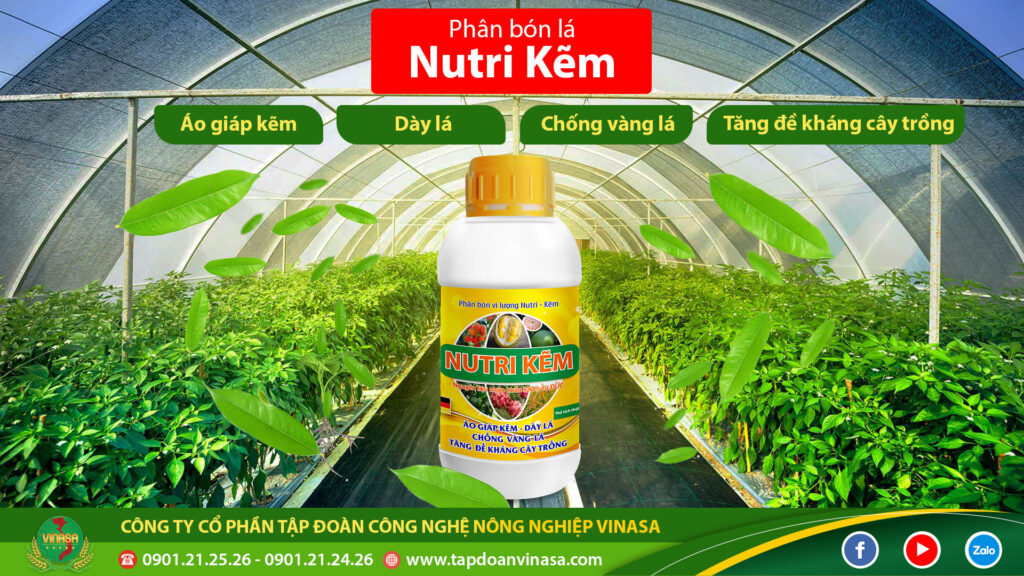 Phân bón lá Nutri Kẽm