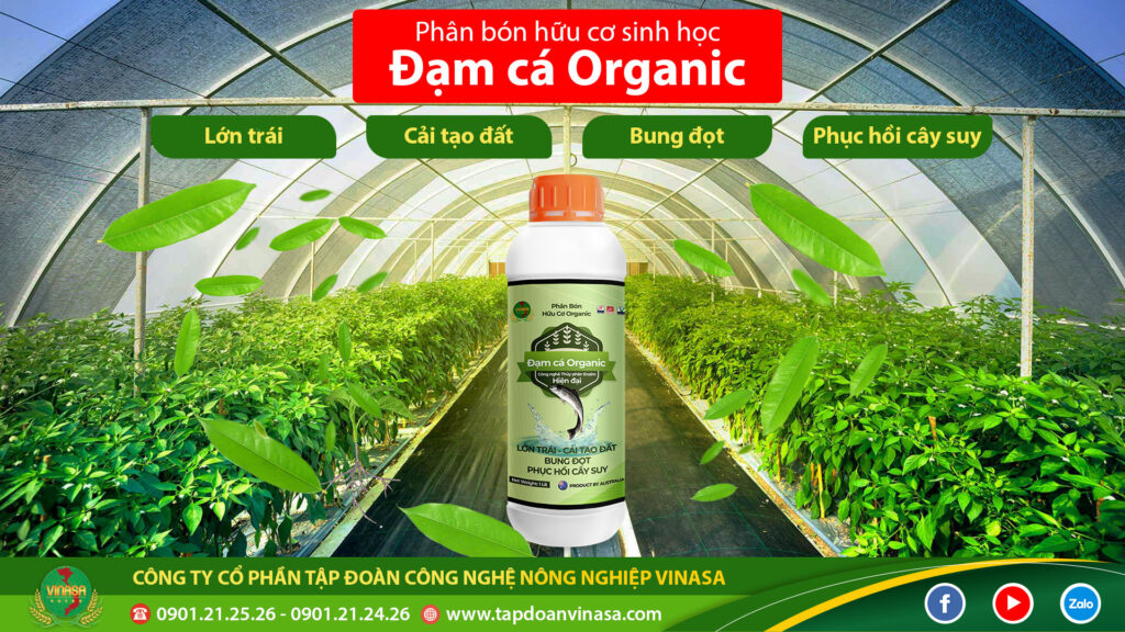 Phân bón đạm cá organic