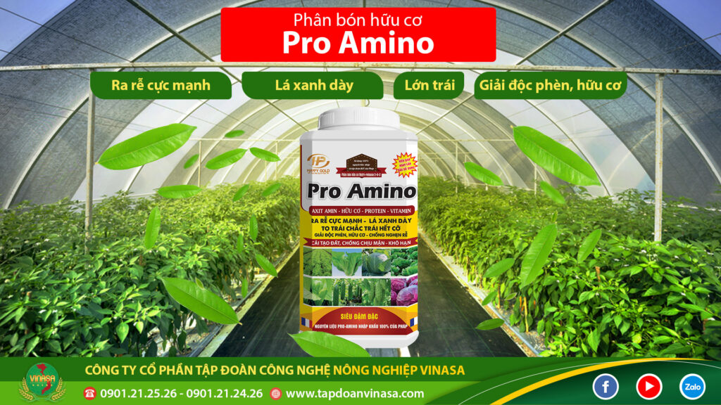 Phân bón hữu cơ Pro Amino