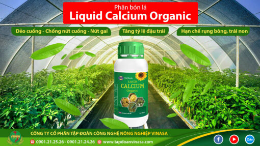Liquid Calcium Organic