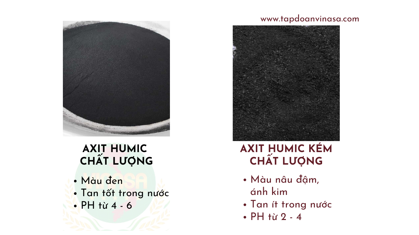 AXIT HUMIC LÀ GÌ? TÁC DỤNG CỦA AXIT HUMIC ĐỐI VỚI CÂY TRỒNG • Vinasa ...