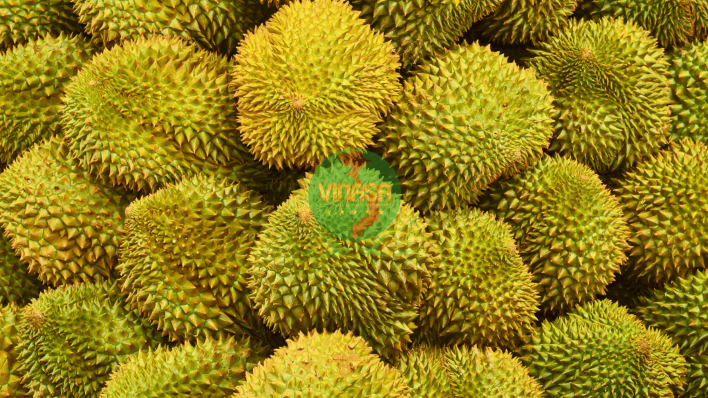 Sầu Riêng Musang King