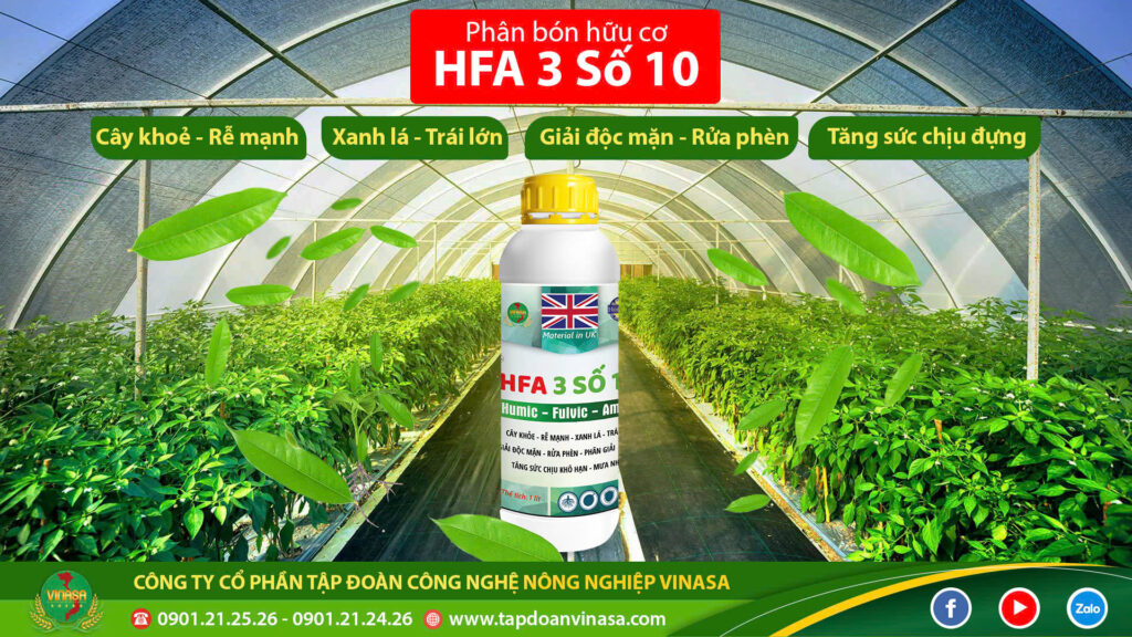 HFA 3 so 10 Vinasa 1