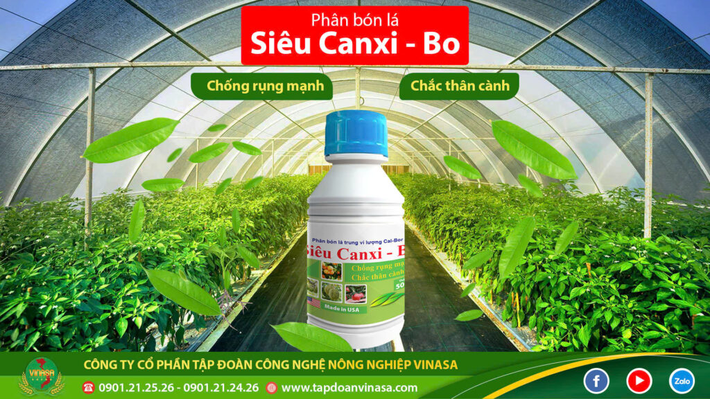 sieu canxi - bo Vinasa 3