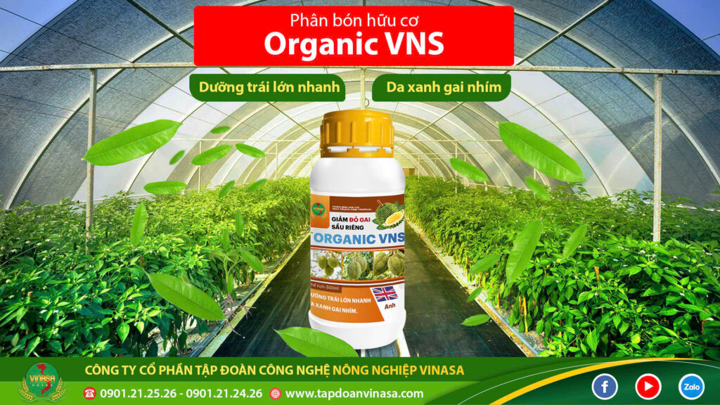 Giam-do-gai-sau-rieng-organic-VNS