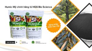 humic-my-vinasa
