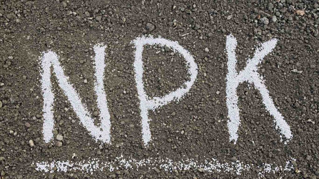 phan-bon-npk