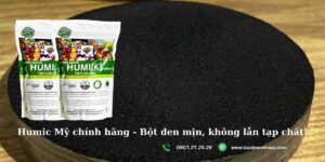 humic-my-Vinasa