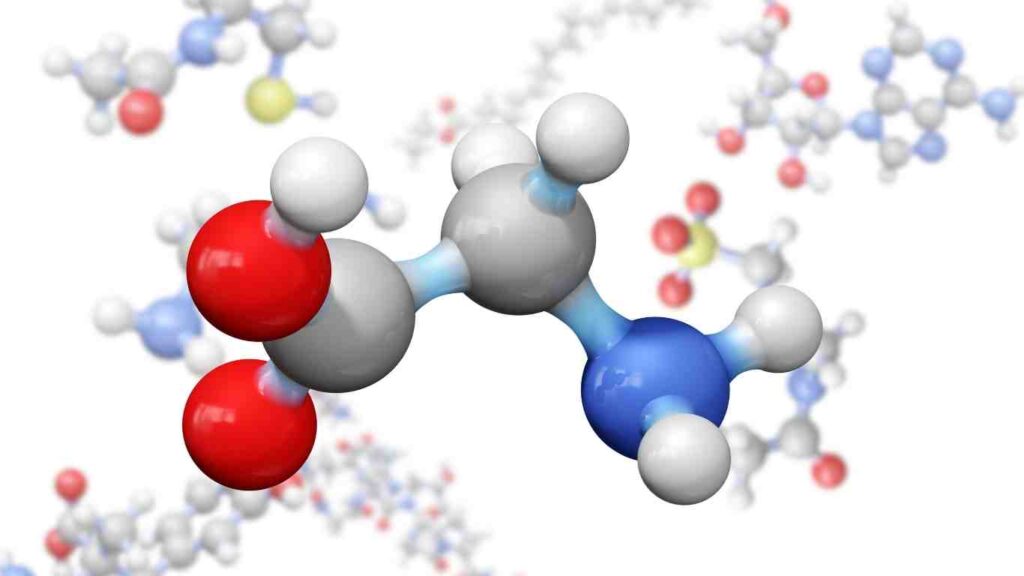 phan-tu-amino-acid