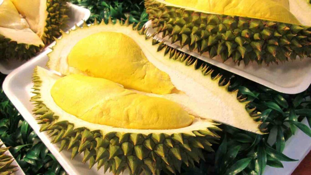 cach-bo-sau-rieng-dep