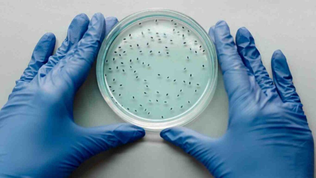 phan-bon-vi-sinh (1)