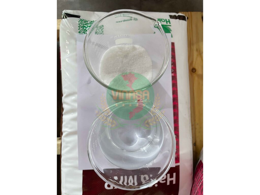 MKP-haifa-israel (1)