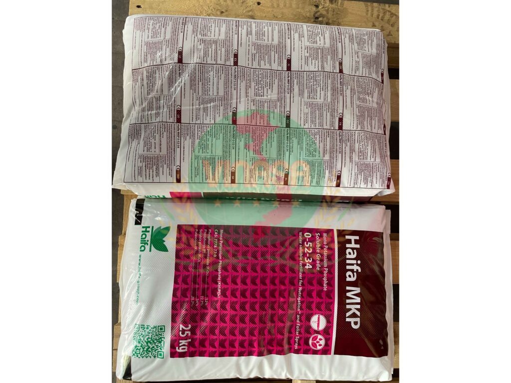 mkp-haifa-israel (2)