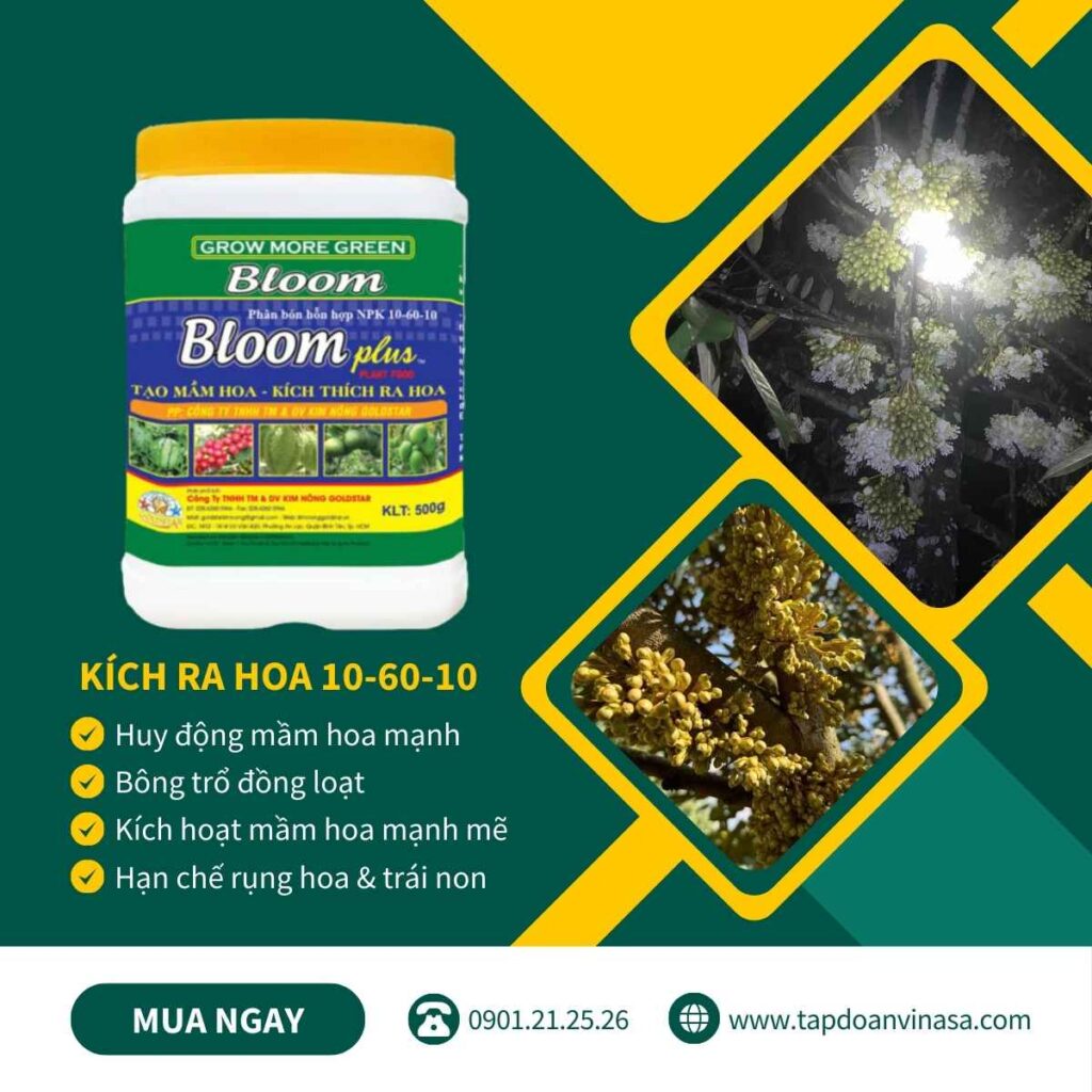 phan-bon-la-10-60-10