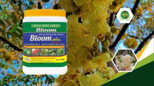 phan-bon-la-10-60-10-nhap-khau