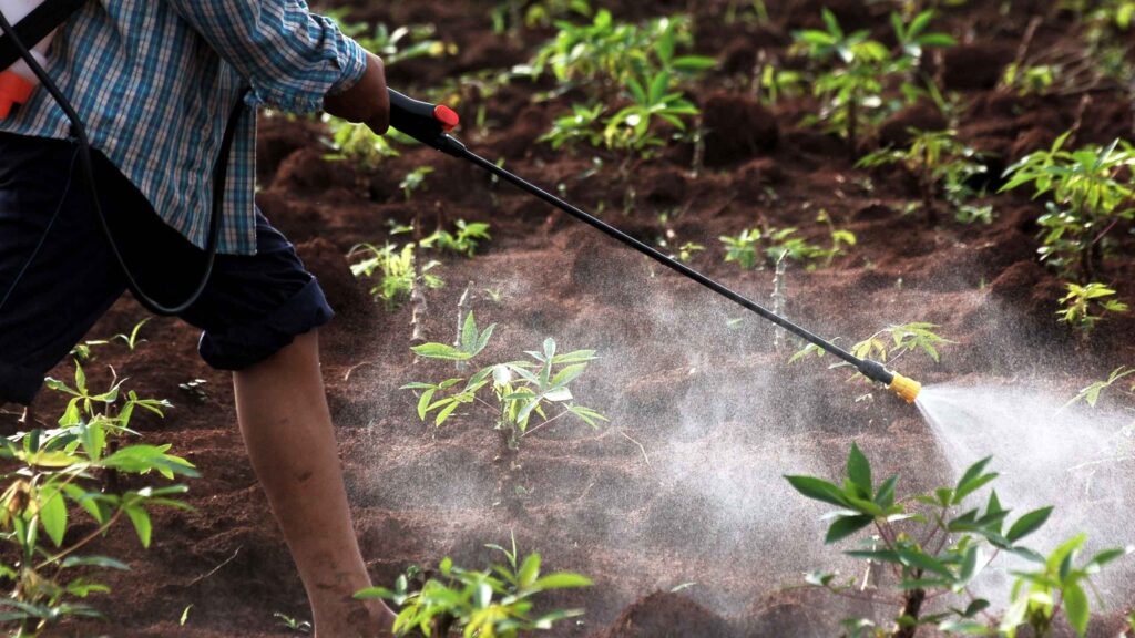 vai-tro-cua-phan-bon (3)