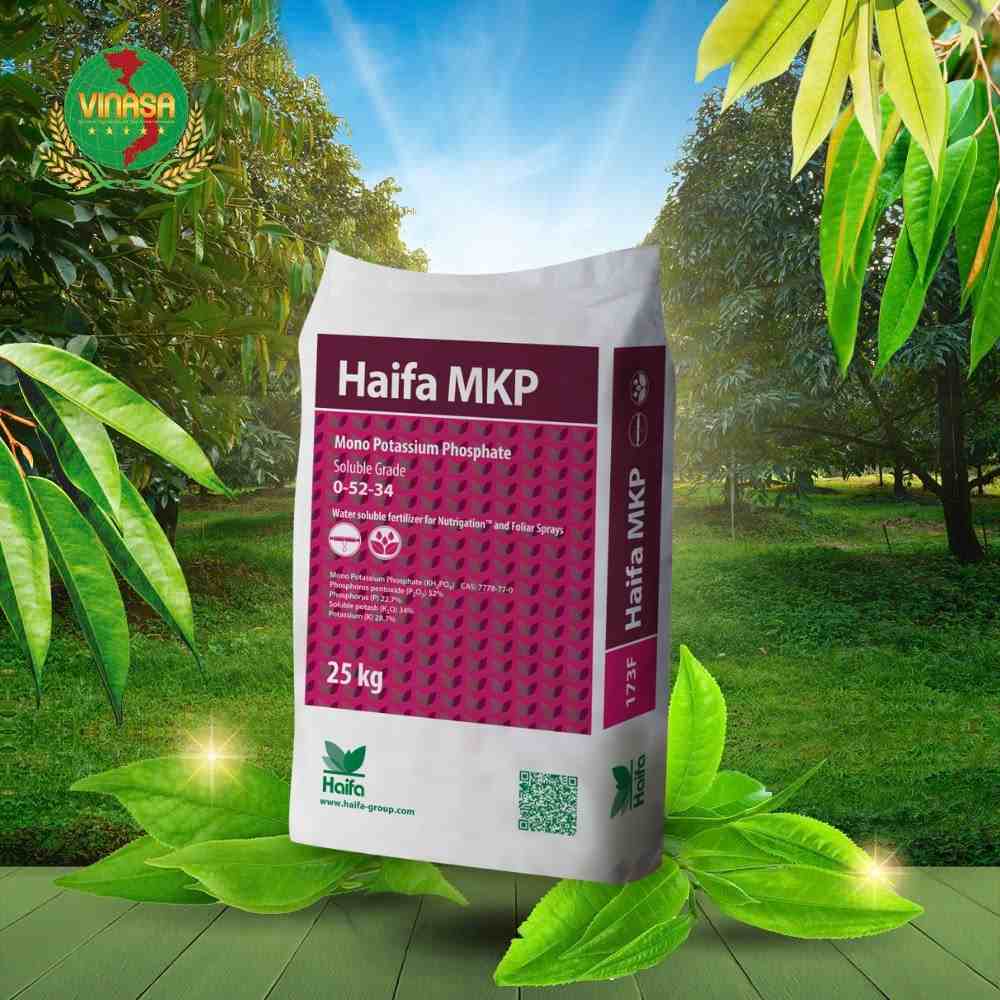 mkp-0-52-34-israel-bao-25-kg