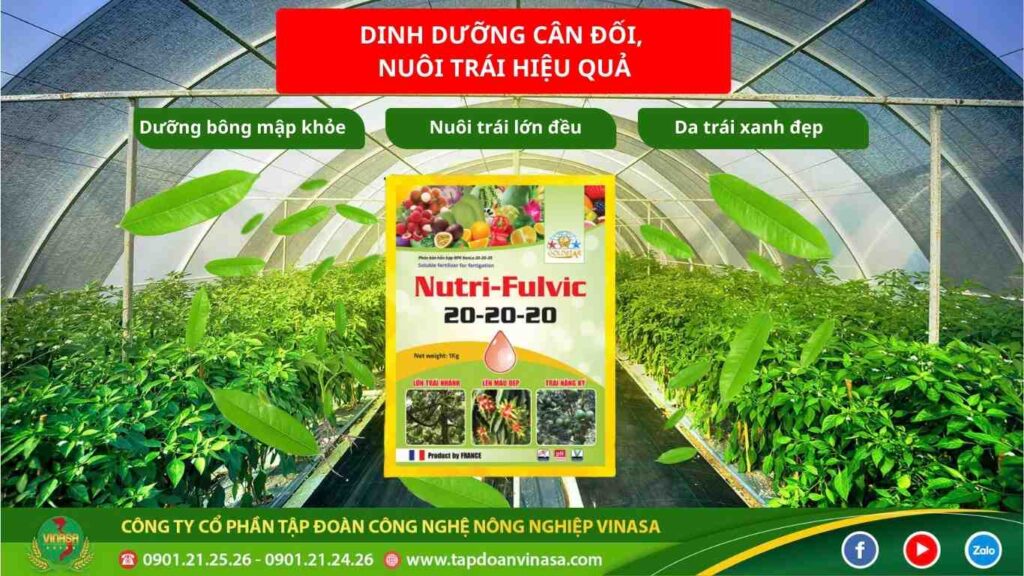 nutri-fulvic-20-20-20