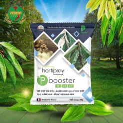 phan-bon-gia-la-kich-hoa-p-bootster-0-48-47