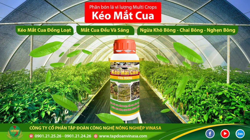 phan-bon-keo-mat-cua-1