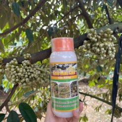 phan-bon-keo-mat-cua-2