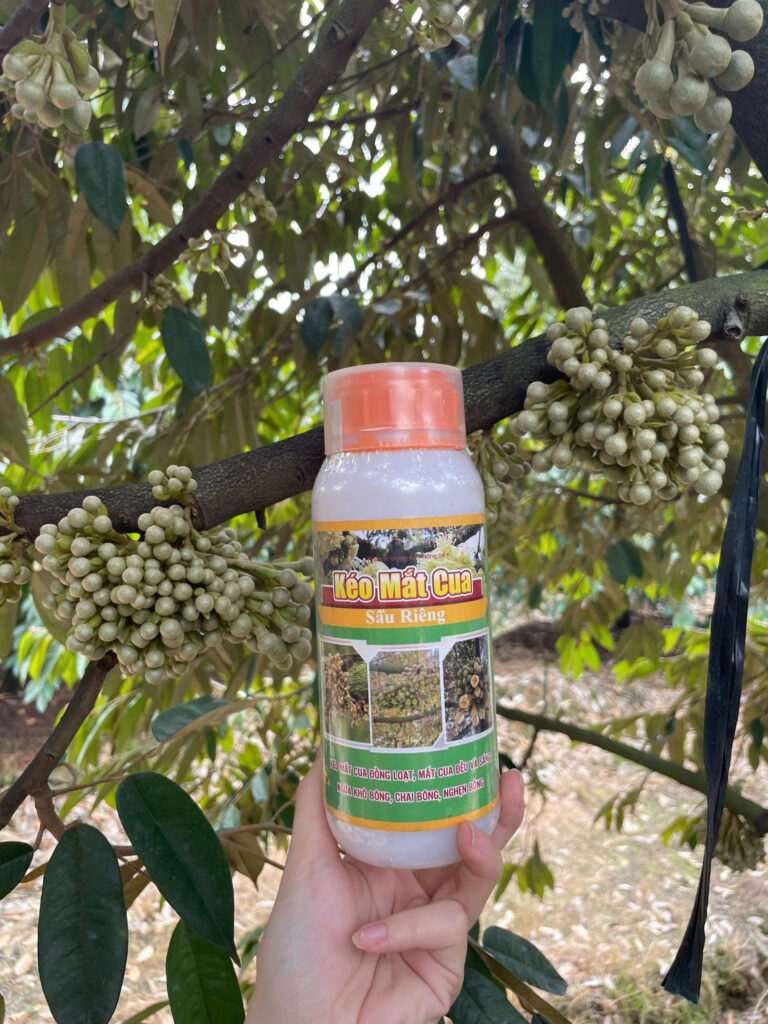 phan-bon-keo-mat-cua-2