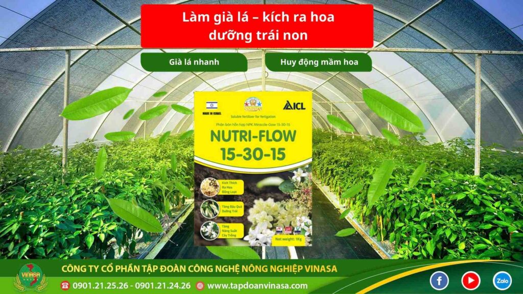 phan-bon-la-15-30-15