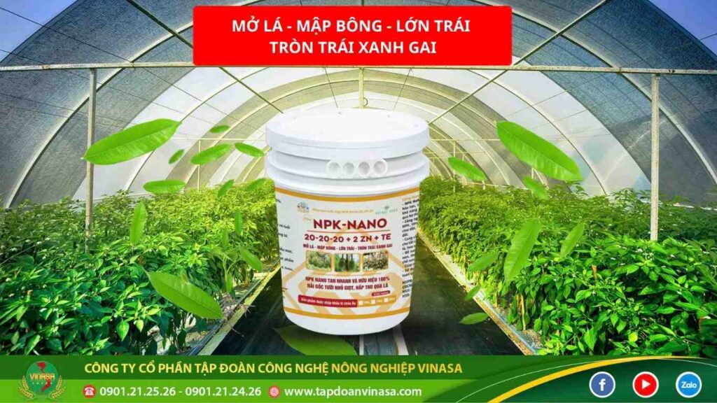 phan-bon-la-npk-20-20-20
