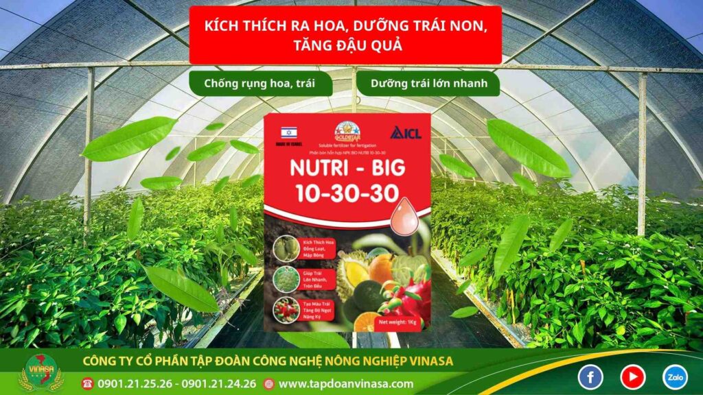 phan-npk-10-30-30