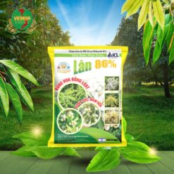 lan-86-tao-mam-hoa (1)